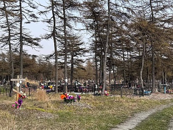 Кладбище поселка Ола, фото